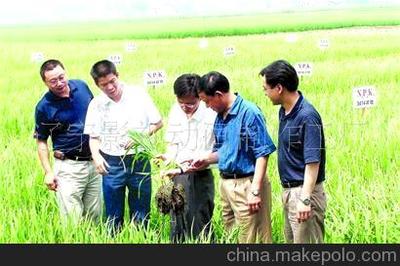 遼寧本溪農(nóng)資小麥種子廣告片拍攝制作圖片,遼寧本溪農(nóng)資小麥種子廣告片拍攝制作圖片大全,遼寧影視動(dòng)畫制作工廠-