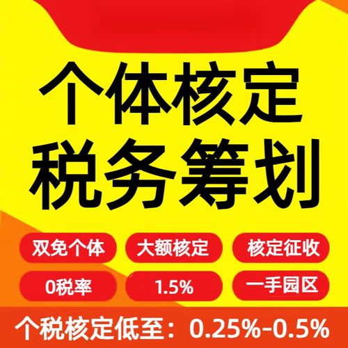 湖北江西海南成都大額雙免園區 個人稅務合規籌劃商務服務